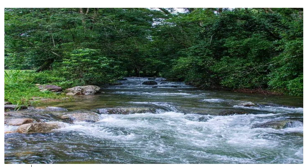 Pungwe River & Osborne Dam